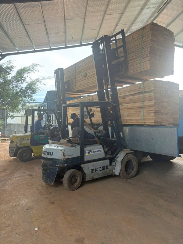 Gỗ nguyên liệu - Pallet Gỗ Hoàng Huy Phát - Công Ty TNHH Sản Xuất TMDV Hoàng Huy Phát